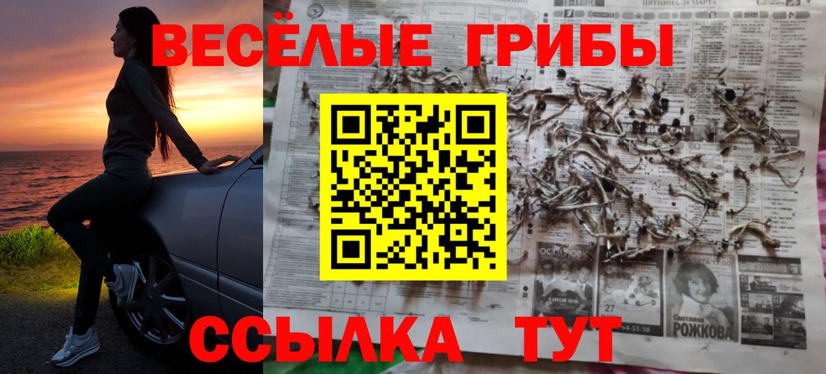 Зима  Галлюциногенные грибы ЛСД  Вход с VPN  Псилоцибиновые грибы MAGIC MUSHROOMS 