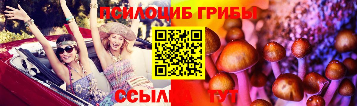 Галлюциногенные грибы мухоморы Зима